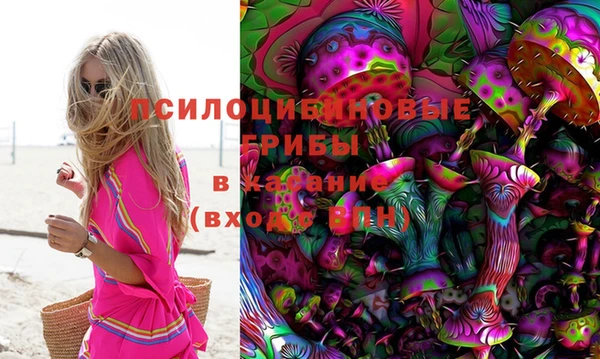 гидропоника Алексин